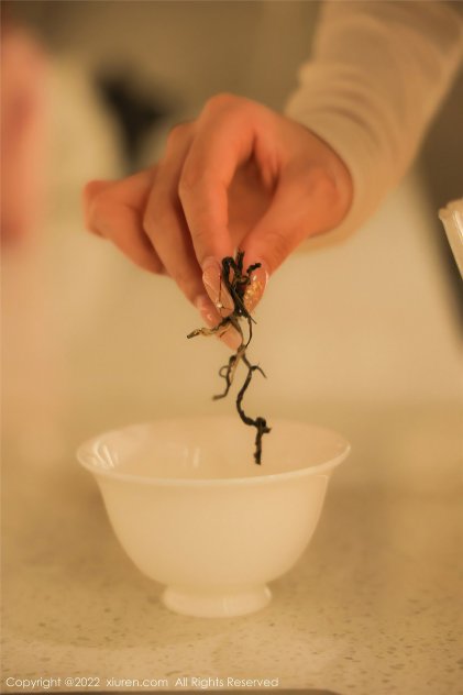 国产深夜福利在线播放海报